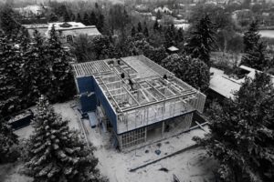 multiplex construction